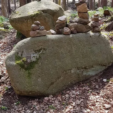 Apartment Zur Traumwolke Mit Schwimmbad Hohegeiß